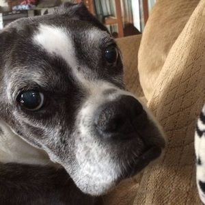 Meet your Posher, Scott